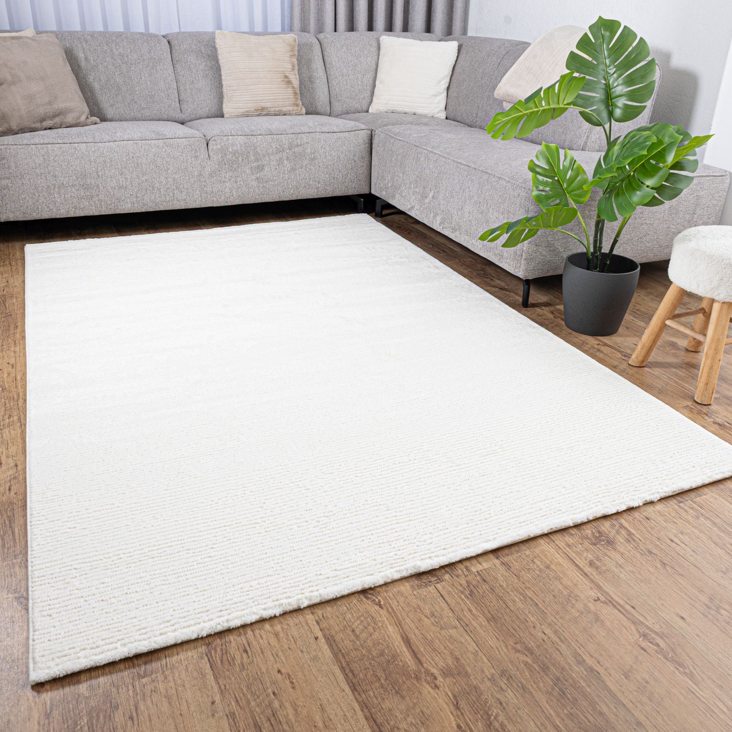 Crème Tapijt Laagpolig Vloerkleed Omid MonoLux