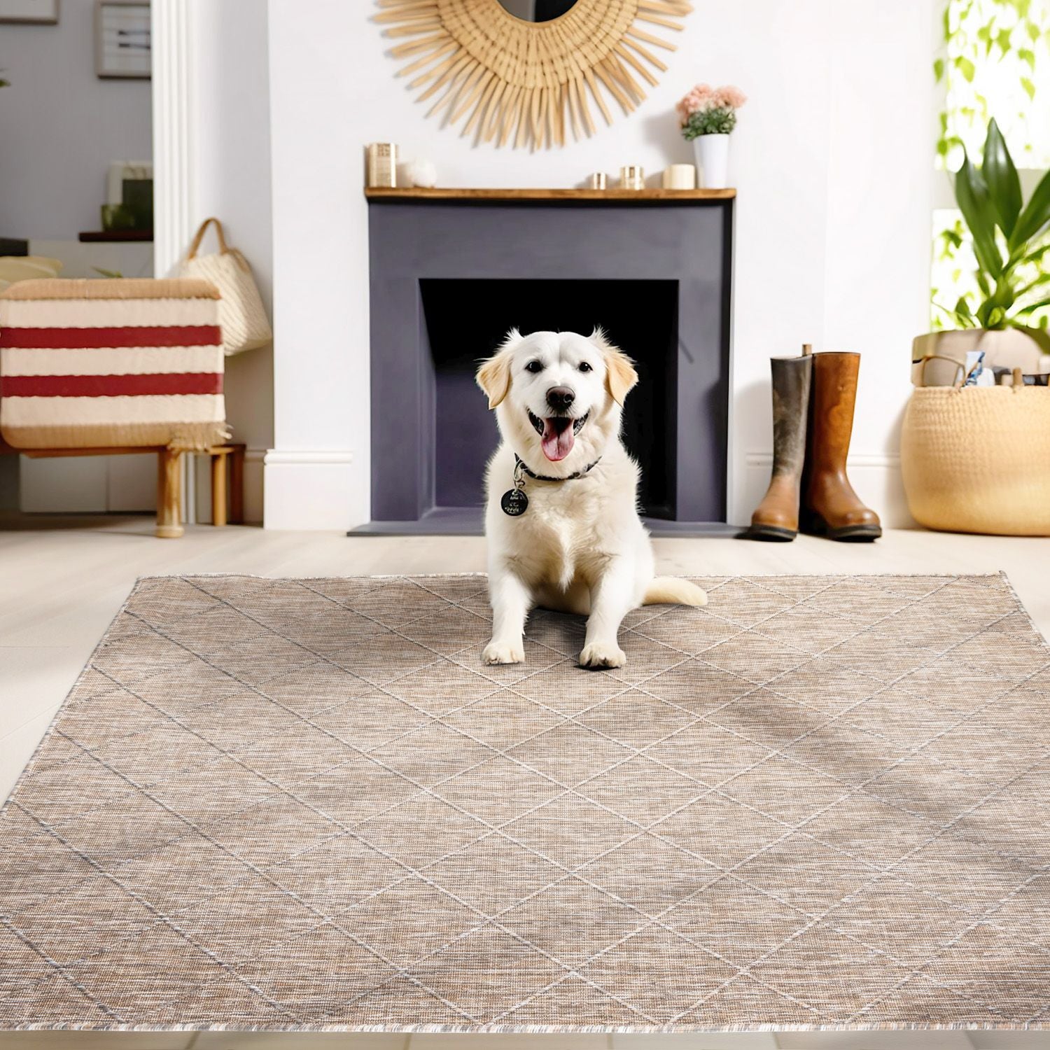 Beige Tapijt Laagpolig Vloerkleed Omid All-Season Solids