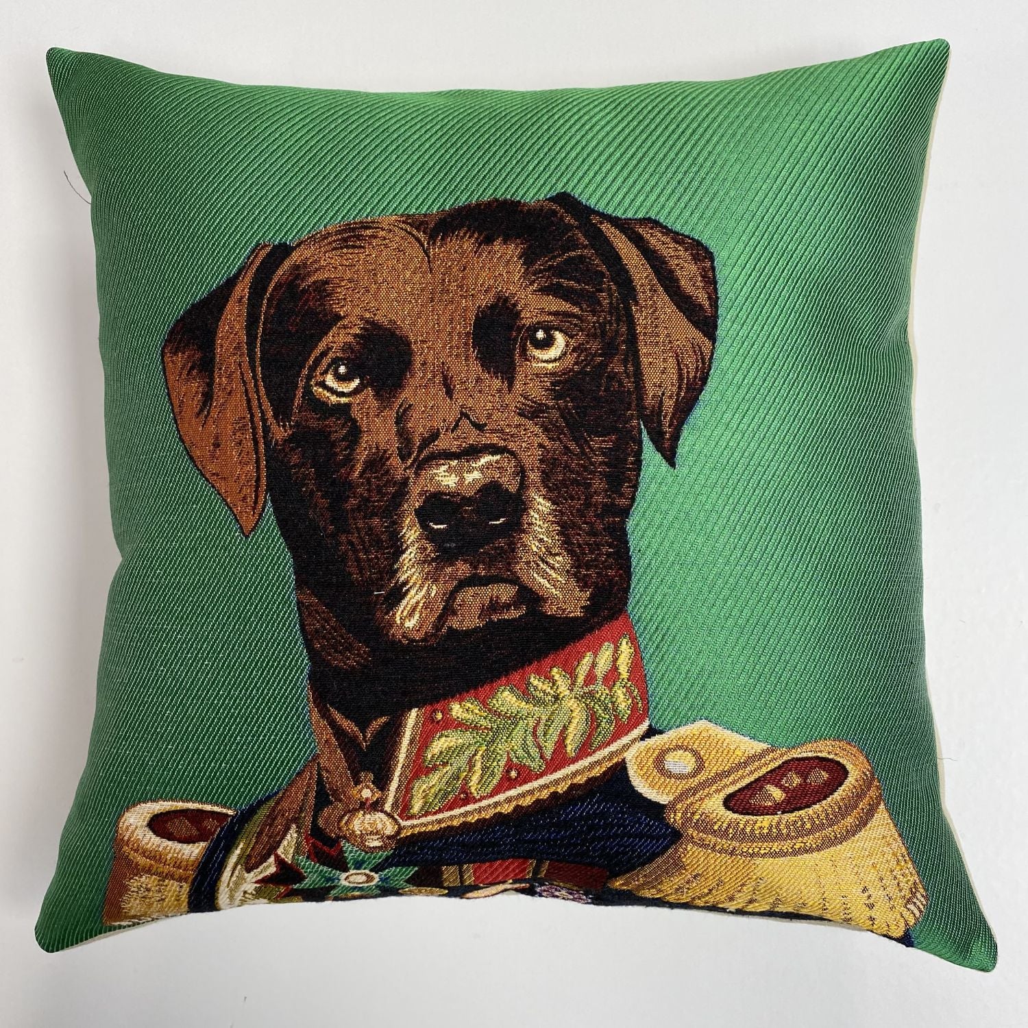 Kussen Omid Picasso Dog Power 45x45