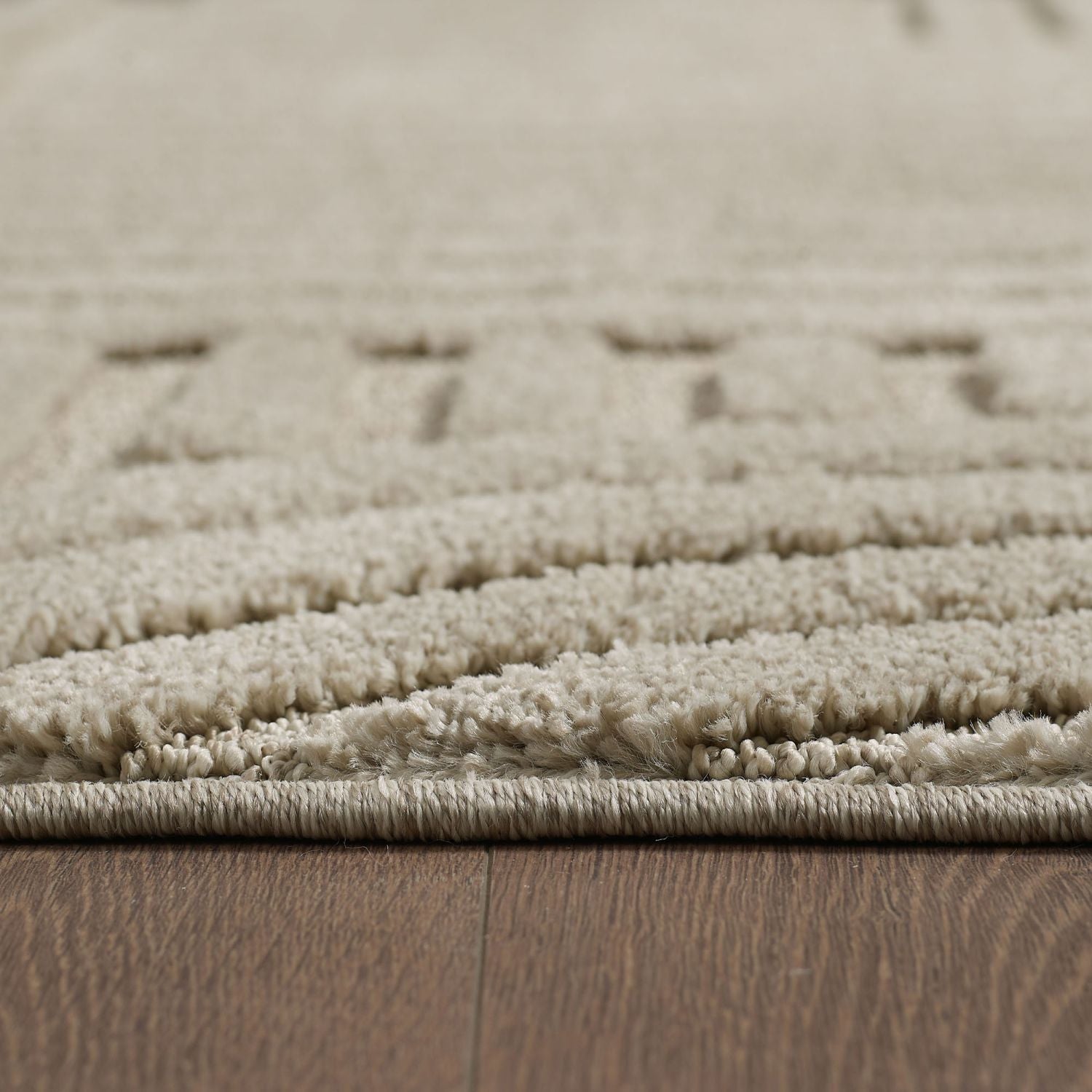 Beige Tapijt Laagpolig Vloerkleed Omid Japandi Stijl