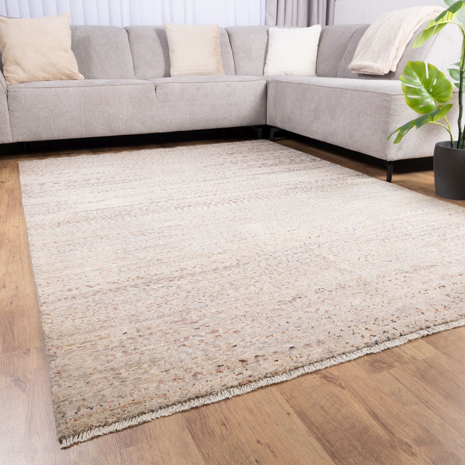 Afghaans Tapijt Laagpolig Handgeknoopt Wollen Vloerkleed - Omid Afghan Wool Luxury 168x241 - Omid Carpets