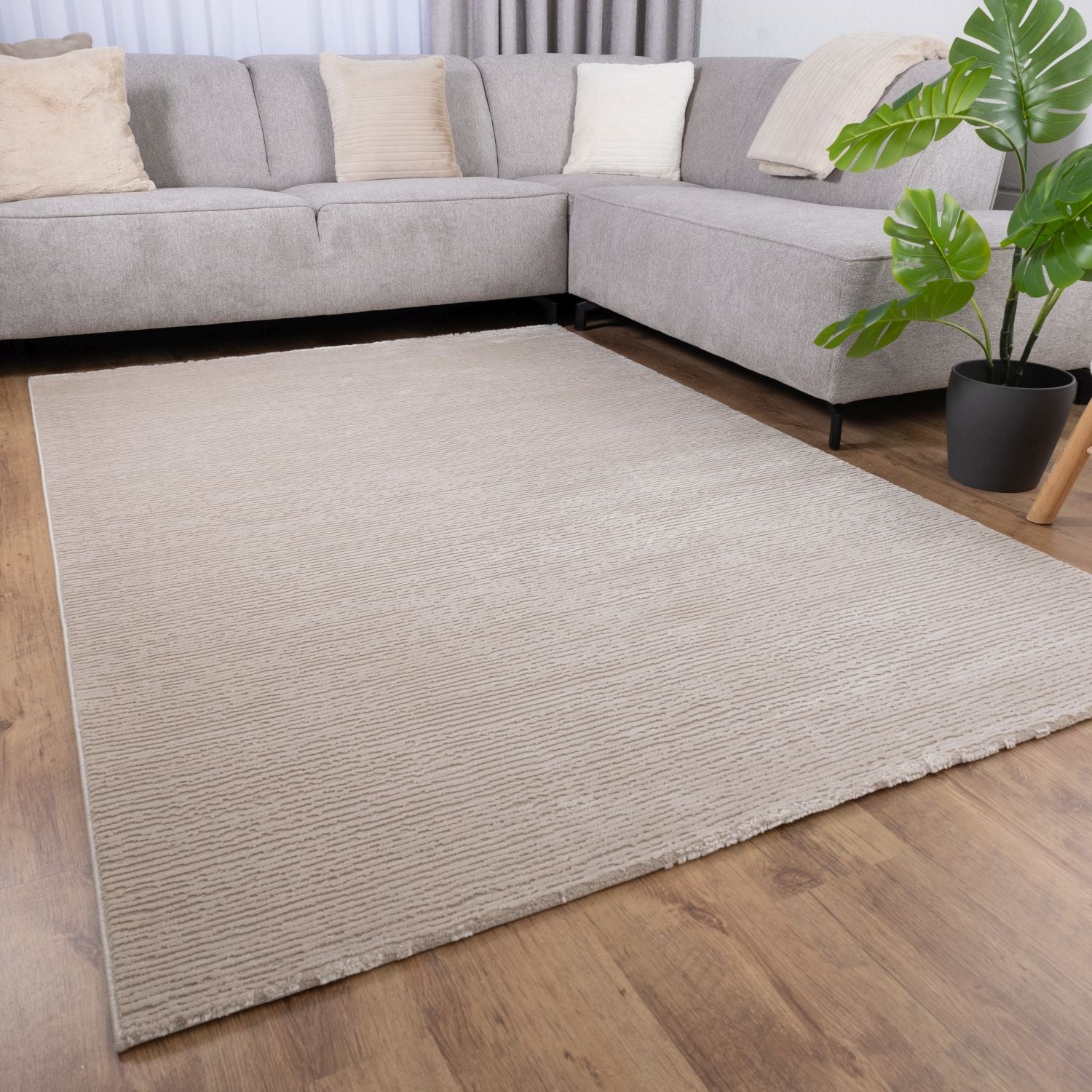 Beige Tapijt Laagpolig Vloerkleed Omid MonoLux - Omid Carpets