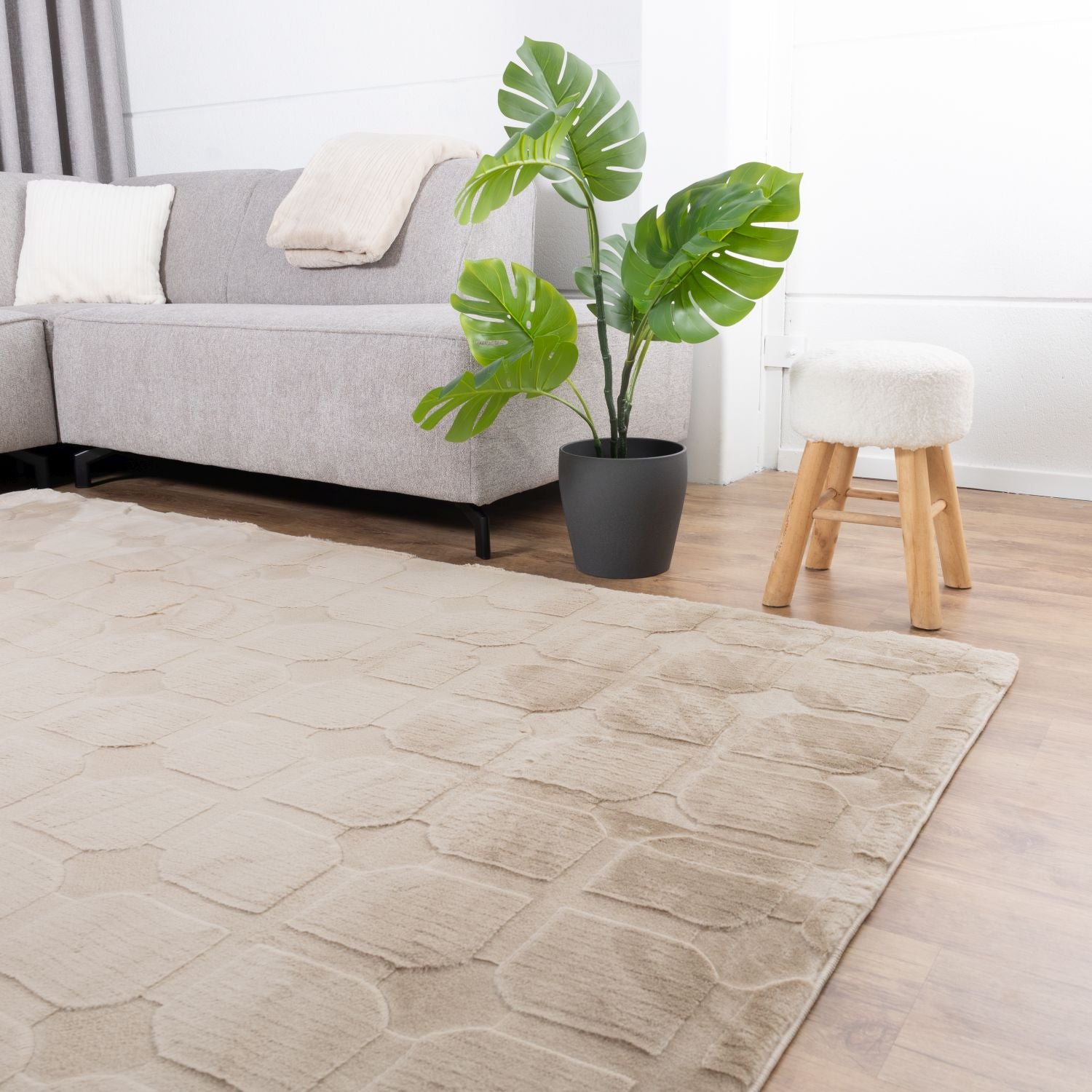 Beige Tapijt Laagpolig Vloerkleed Omid Soft Japandi