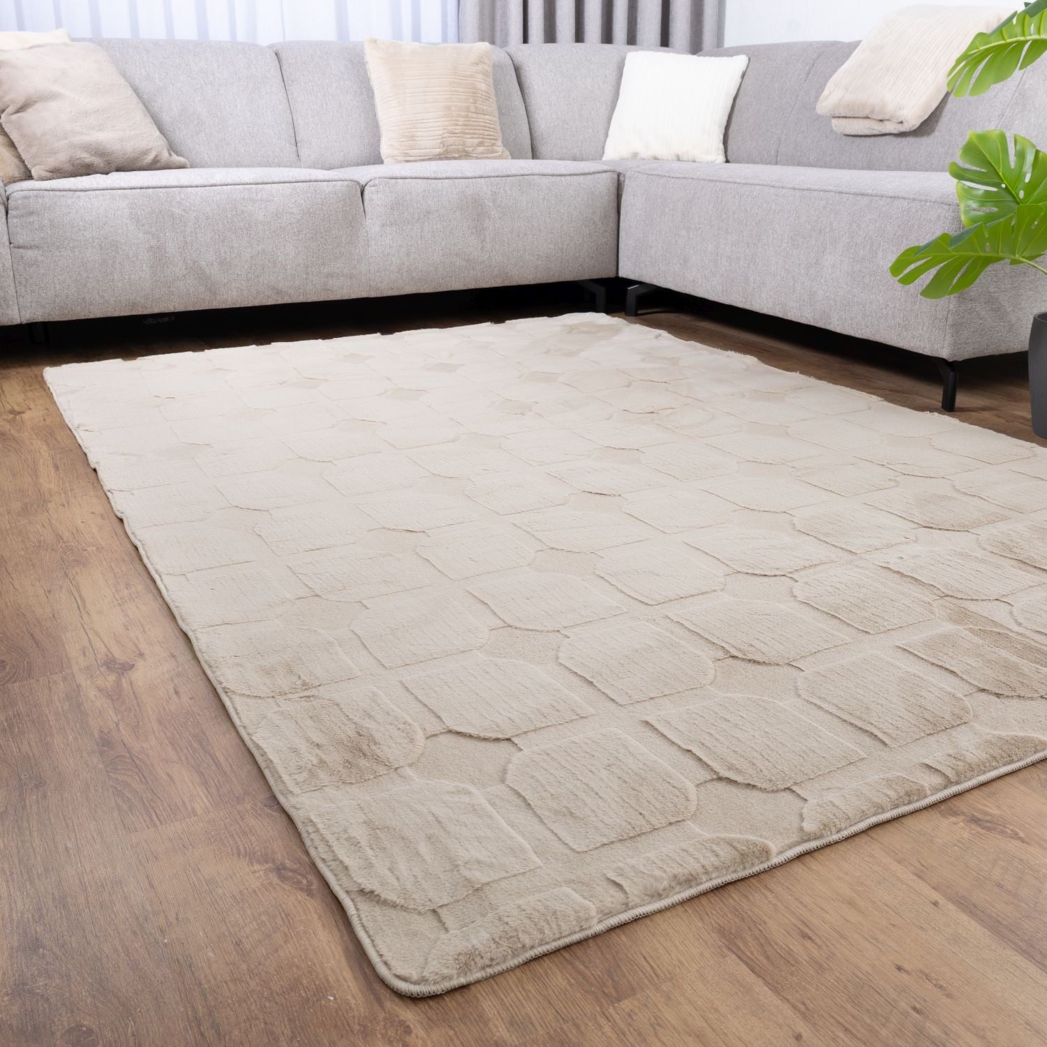 Beige Tapijt Laagpolig Vloerkleed Omid Soft Japandi