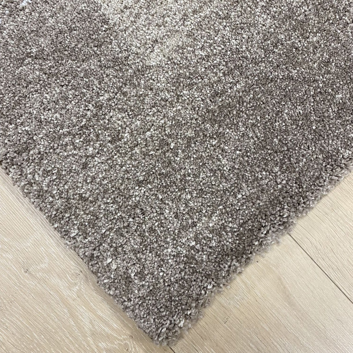 Beige/Taupe Tapijt Dik Laagpolig Vloerkleed Omid Belgian Luxury
